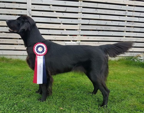 FB_IMG_1524589818365